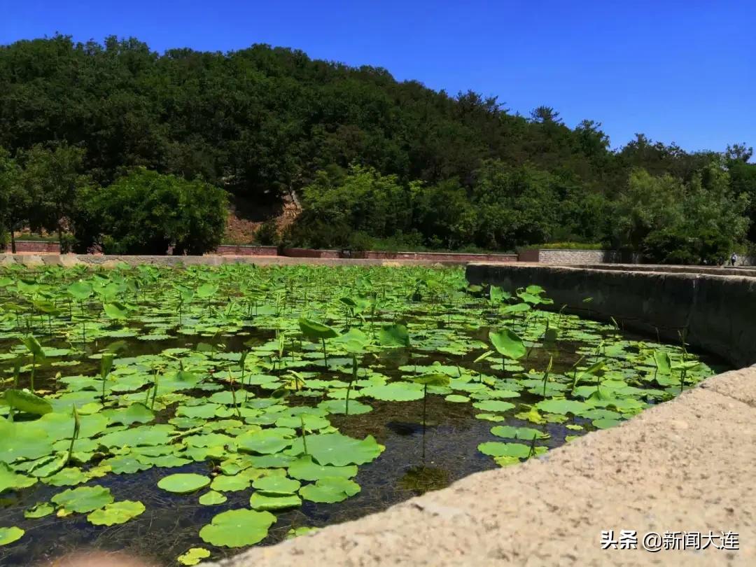 大连野餐必备,大连野餐推荐地点