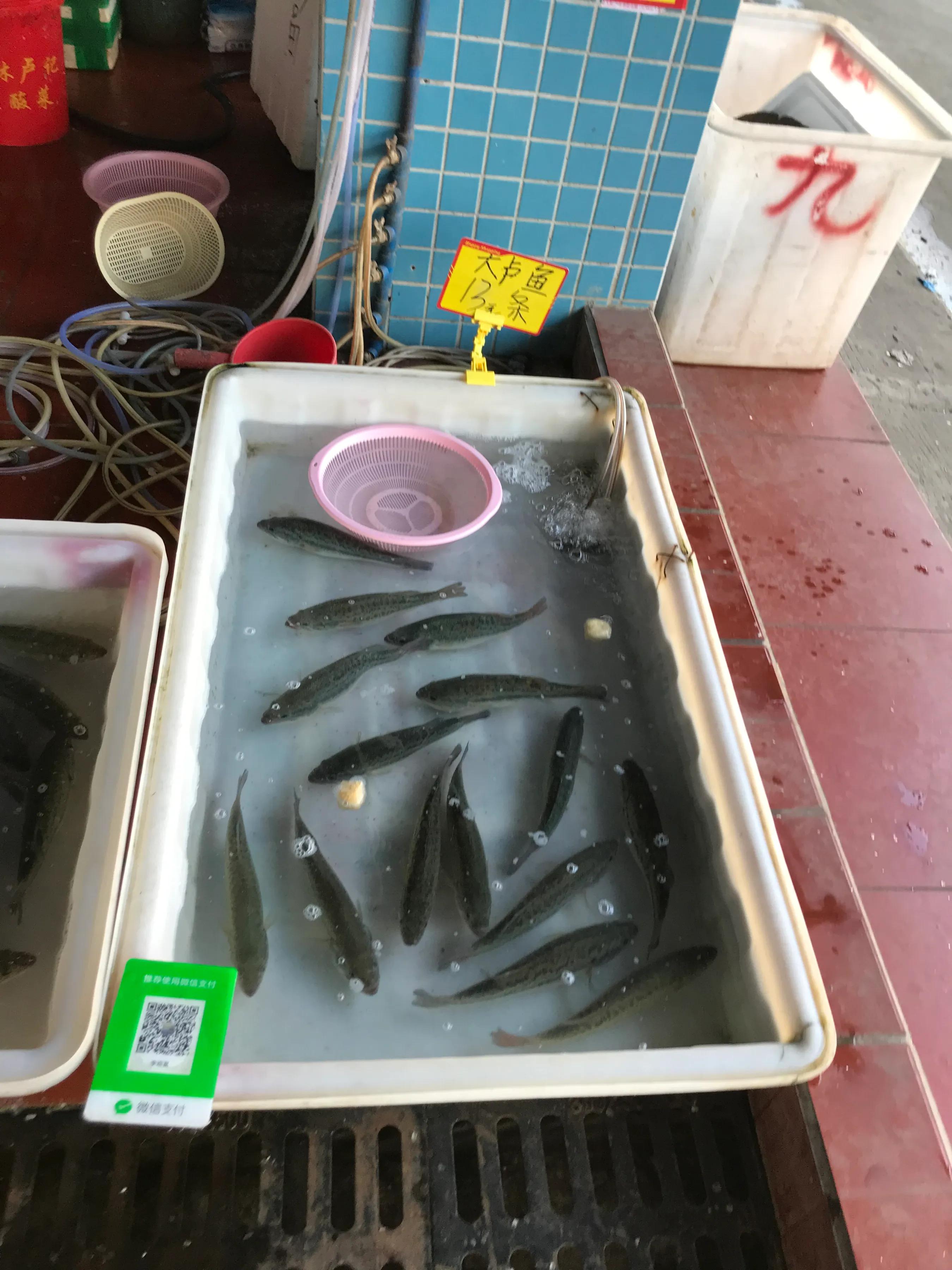 广州荔塱农贸批发市场,芳村荔塱菜市场