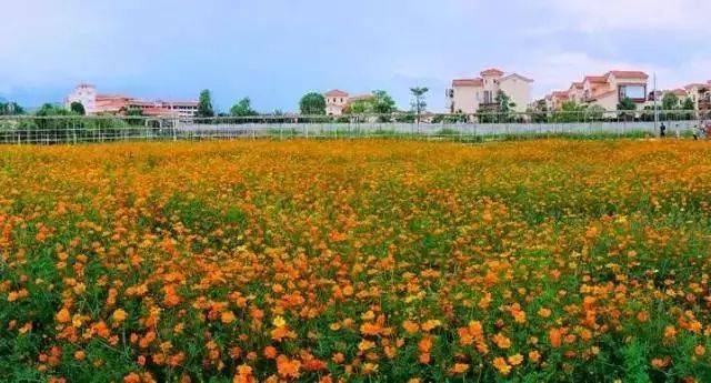 啤酒任喝,啤酒任饮佛山