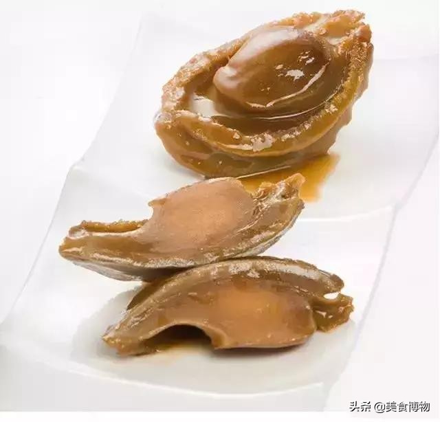 鲍鱼大全，带你认知全世界的鲍鱼（下）