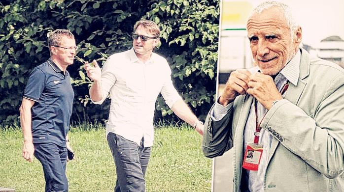 乌帕梅卡诺：未来“世一卫”可解豪门之忧