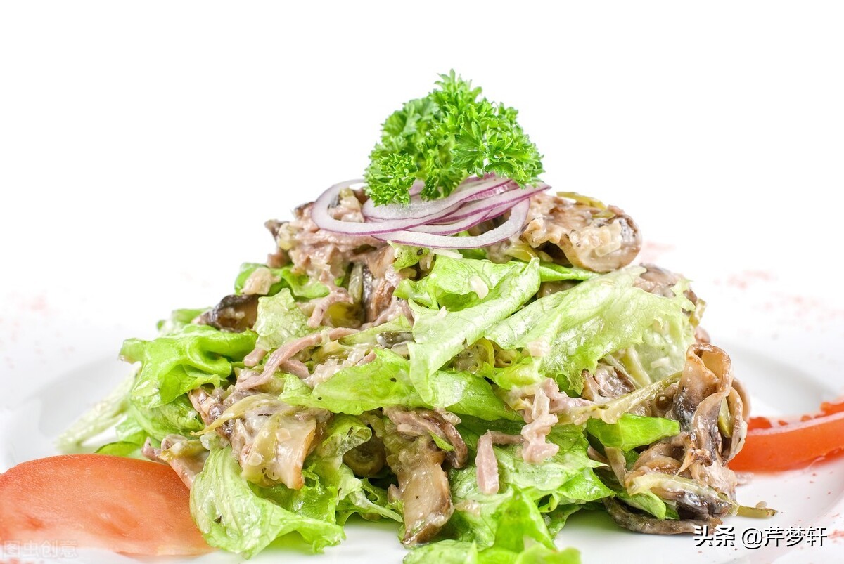 红楼梦诗社完整版,红楼诗社