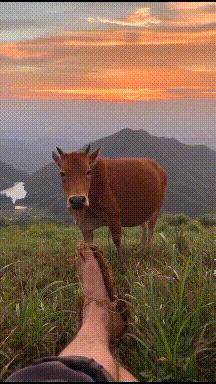 搞笑gif开心一刻这才是真正的赢家,开心一刻gif笑死人