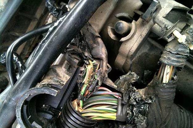 高温天气如何正确使用和养护爱车,高温天气下如何保养爱车