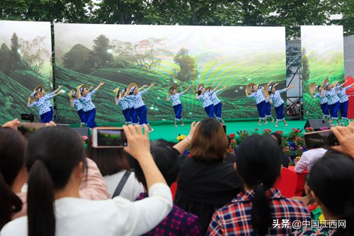 真正的庐山云雾茶,十大庐山云雾茶