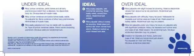 髋关节出了问题一个动作自测,这些症状你千万别再忽略了