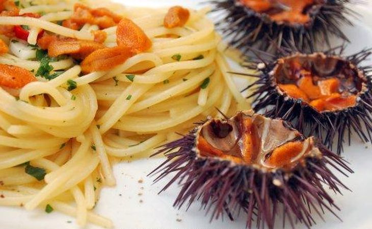 海胆到底多好吃,海胆原来是这么吃的