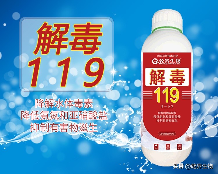 水中蓝藻消除方法,怎么检测水中蓝藻