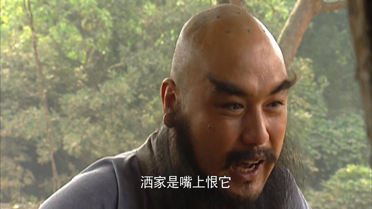 不是完人，更不是唯一好汉，也说鲁智深“污点”