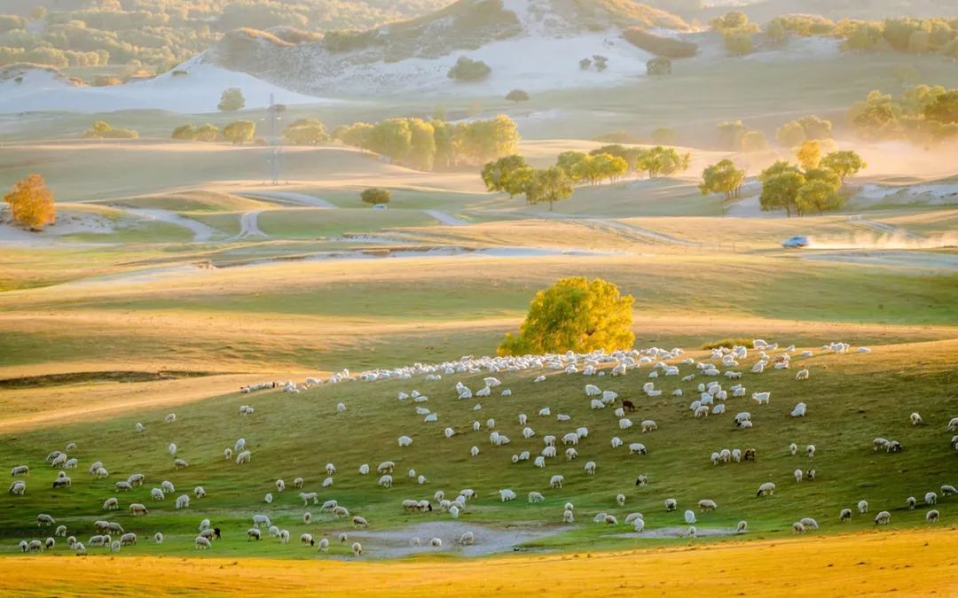 央视十大经典背景音乐,央视常用的16首经典背景音乐