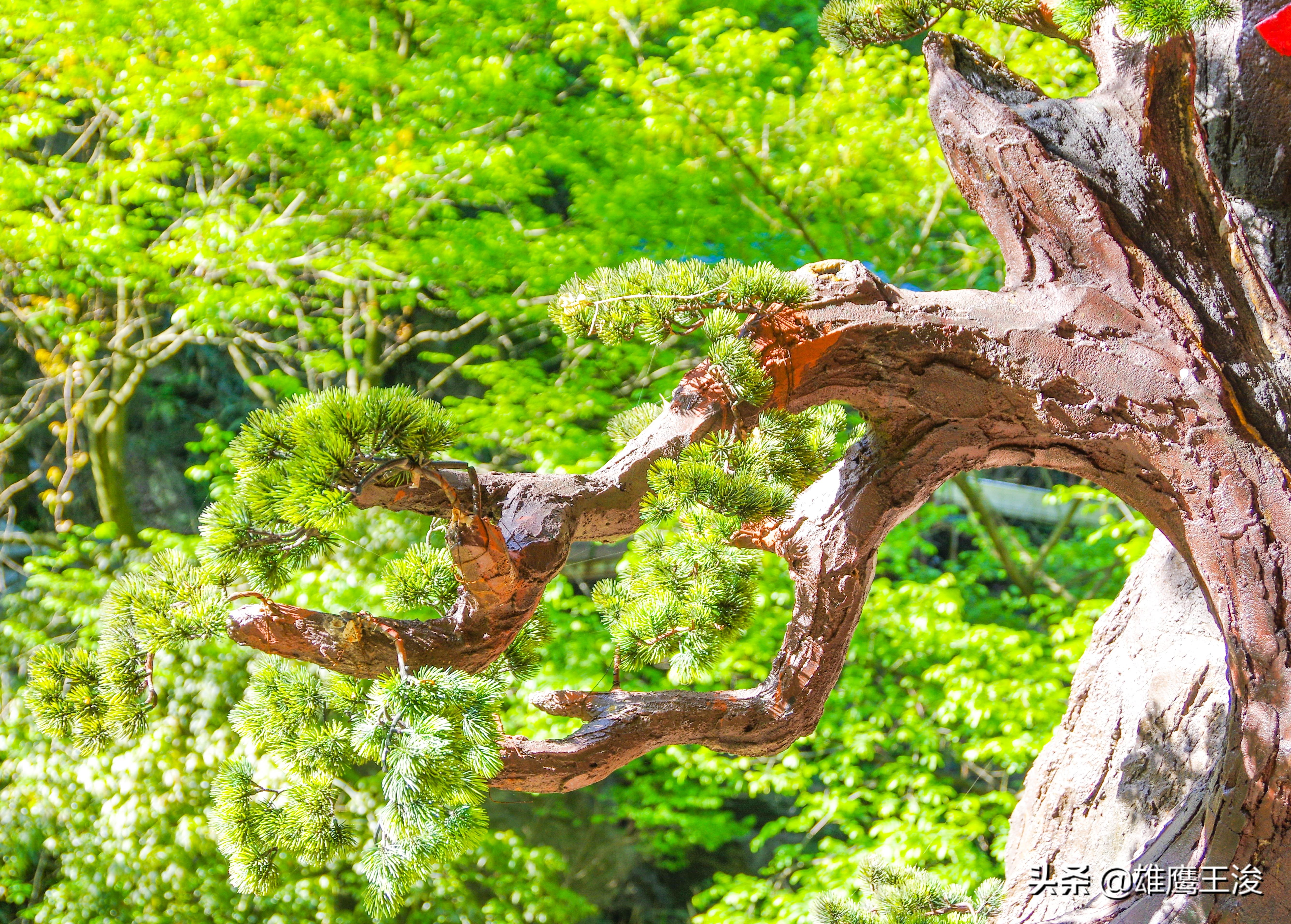 杭州市区现代化网红打卡地,杭州郊区网红风景打卡地