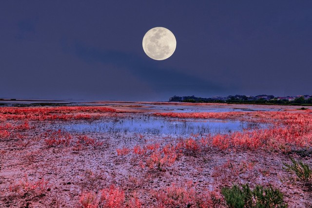 月缺月圆月常在诗句,有关月缺月圆的诗句