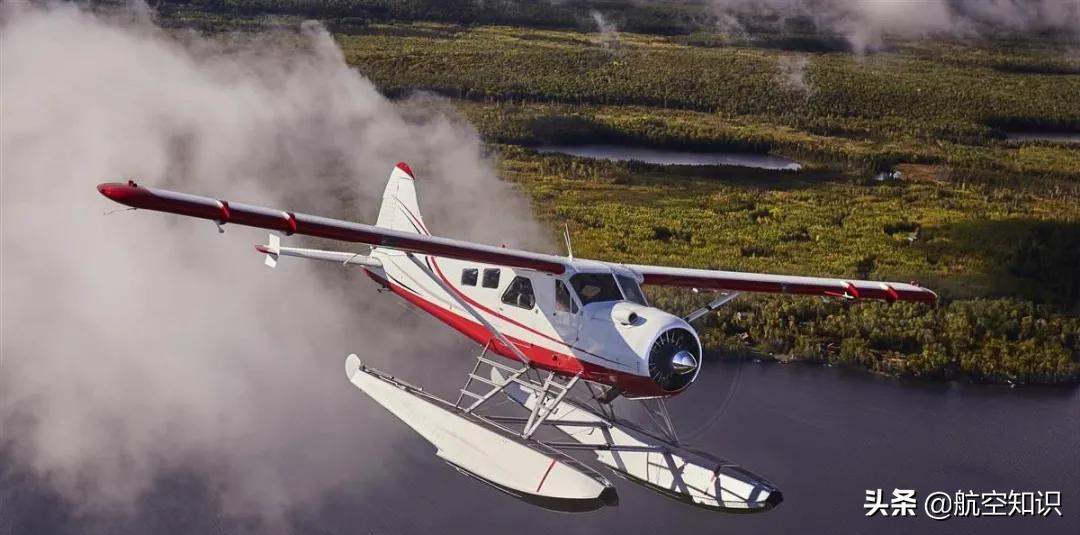 飞机制造商对动物的喜爱到底有多深？——德哈维兰加拿大