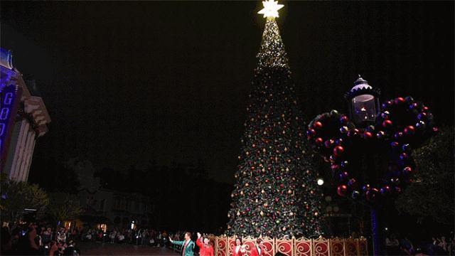 去香港看圣诞树攻略,香港中港城的圣诞树