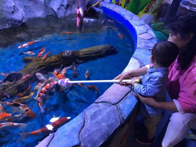 白鹿仓欢迎大家来白鹿仓观看直播,白鹿仓冰雪海洋旅游