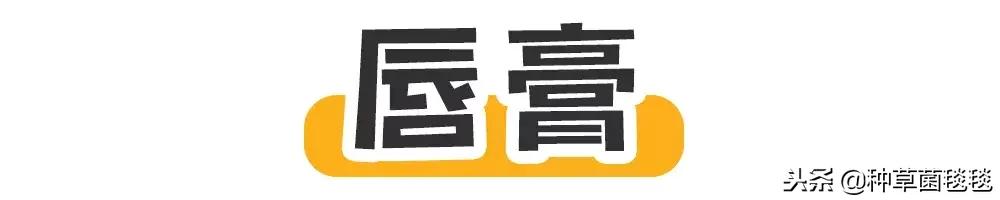 女人办公室必备物品,女生办公必备物品