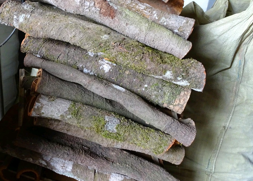 广西野生中药都有哪些,广西有名的中药是什么