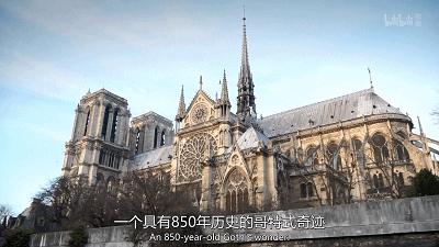 当年为什么巴黎圣母院大火,巴黎圣母院遭遇大火是哪一年