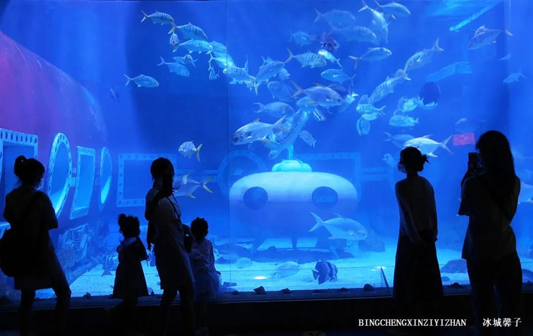 走进哈尔滨完整视频,走进哈尔滨海洋馆