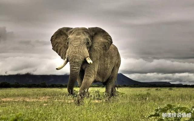 残忍！这9种带血文玩太血腥！碰了小心坐牢