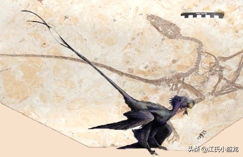 敦化渤海湖舞龙,中国内的恐龙