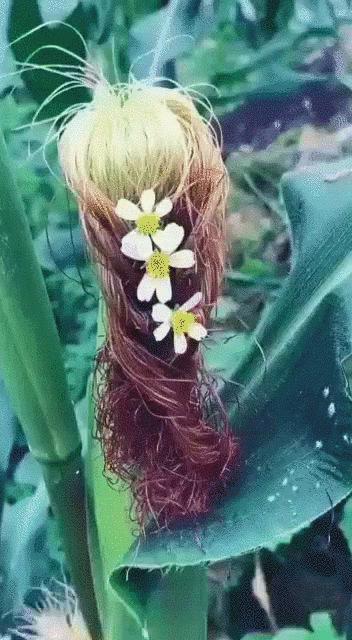 搞笑段子,搞笑动图gif微信可爱表情包