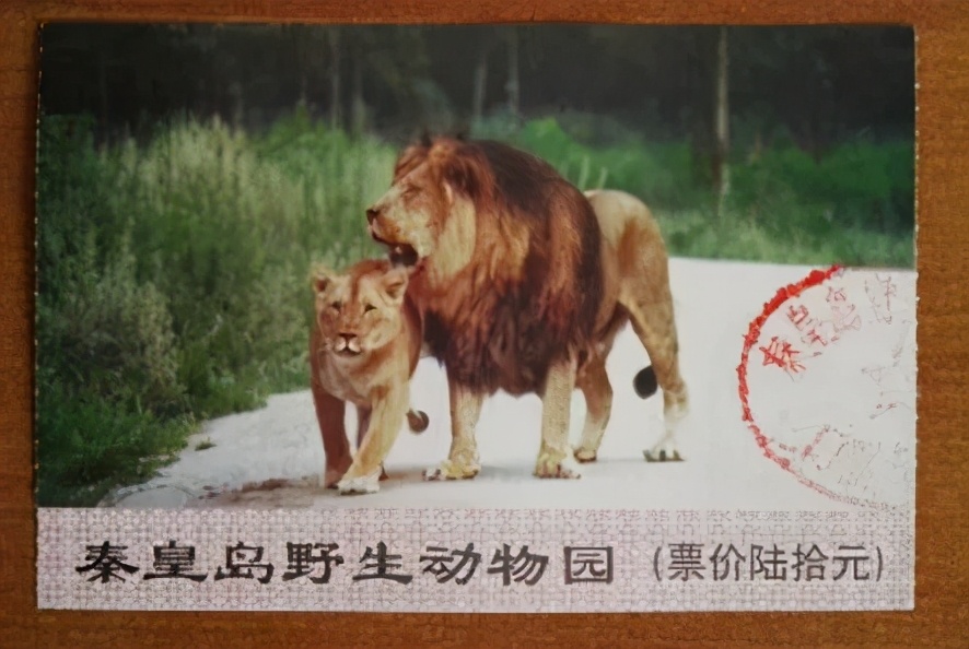 秦皇岛老君顶景区门票,秦皇岛有哪些值得一去的景点