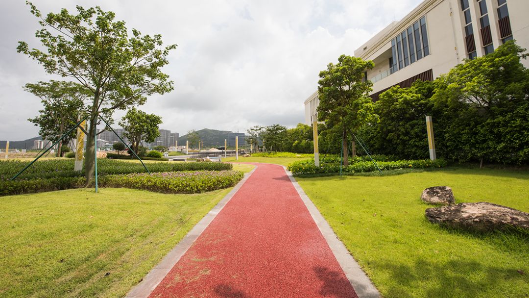 珠海新公园海滨公园,全市首个珠海这个新公园惊艳亮相