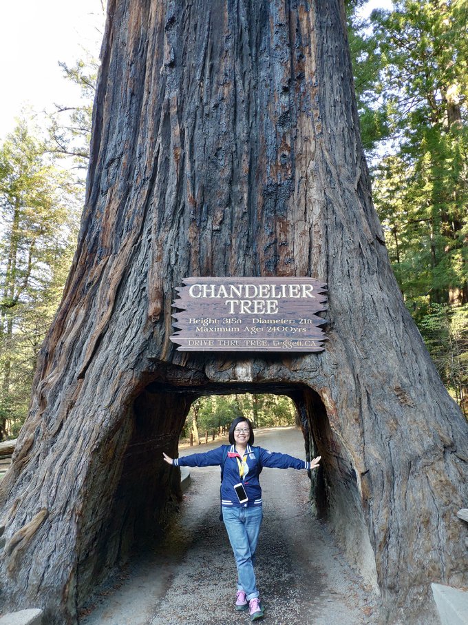 自驾游美国西雅图攻略,从西雅图到洛杉矶自驾游攻略