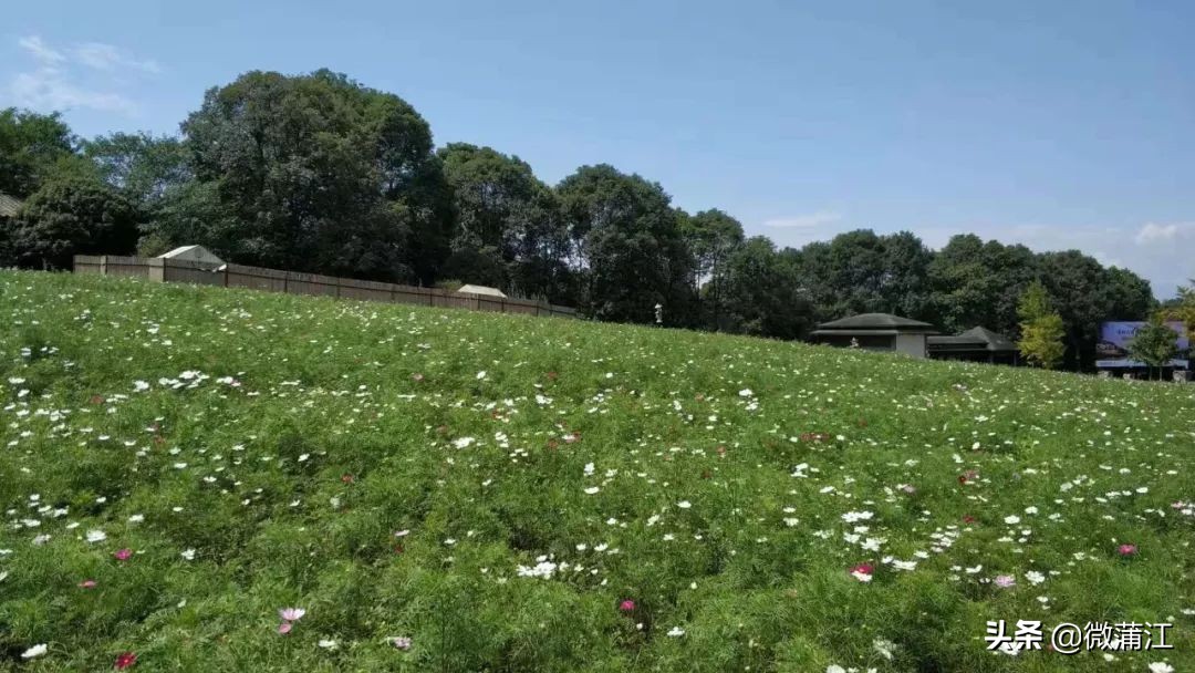 石象湖游览图片大全,石象湖自然风景