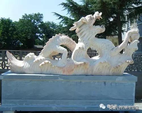 龙的传人对应词,龙图腾寓意