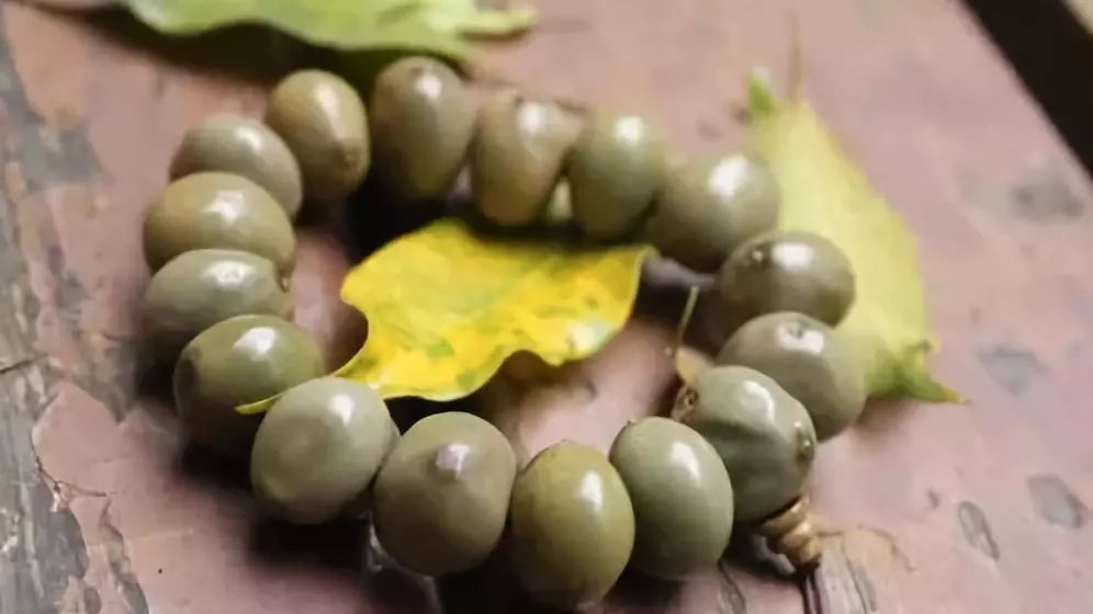 菩提手串大全图解,菩提手串的种类图解