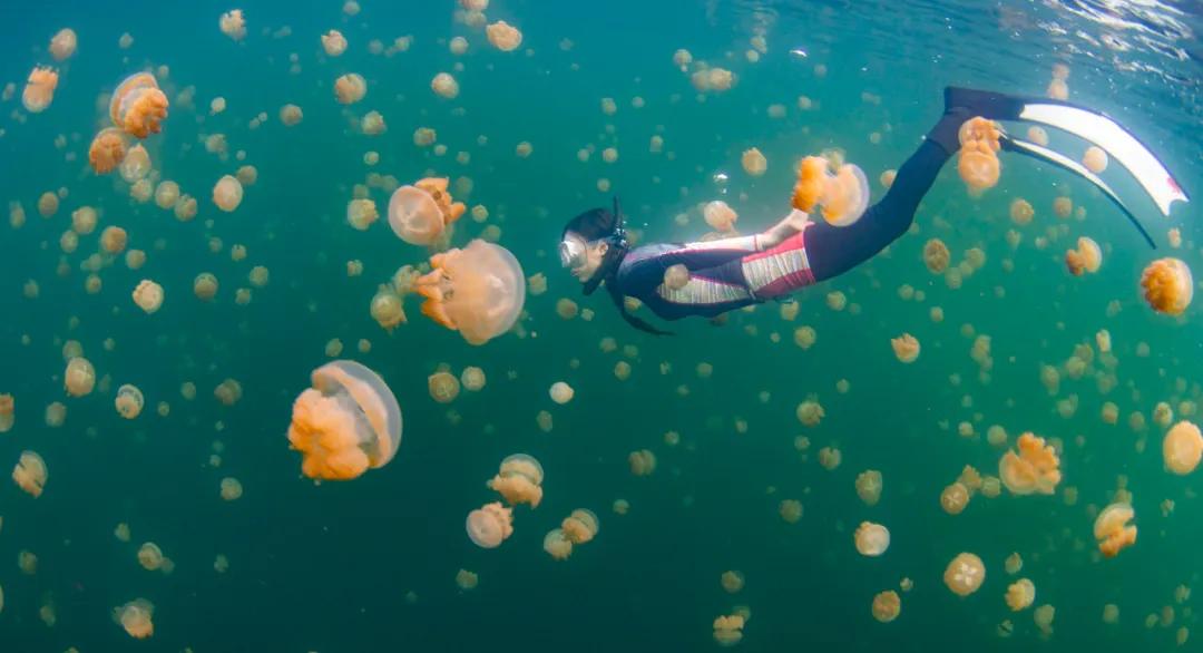 人间仙境之帕劳,帕劳是位于太平洋上的一个小国