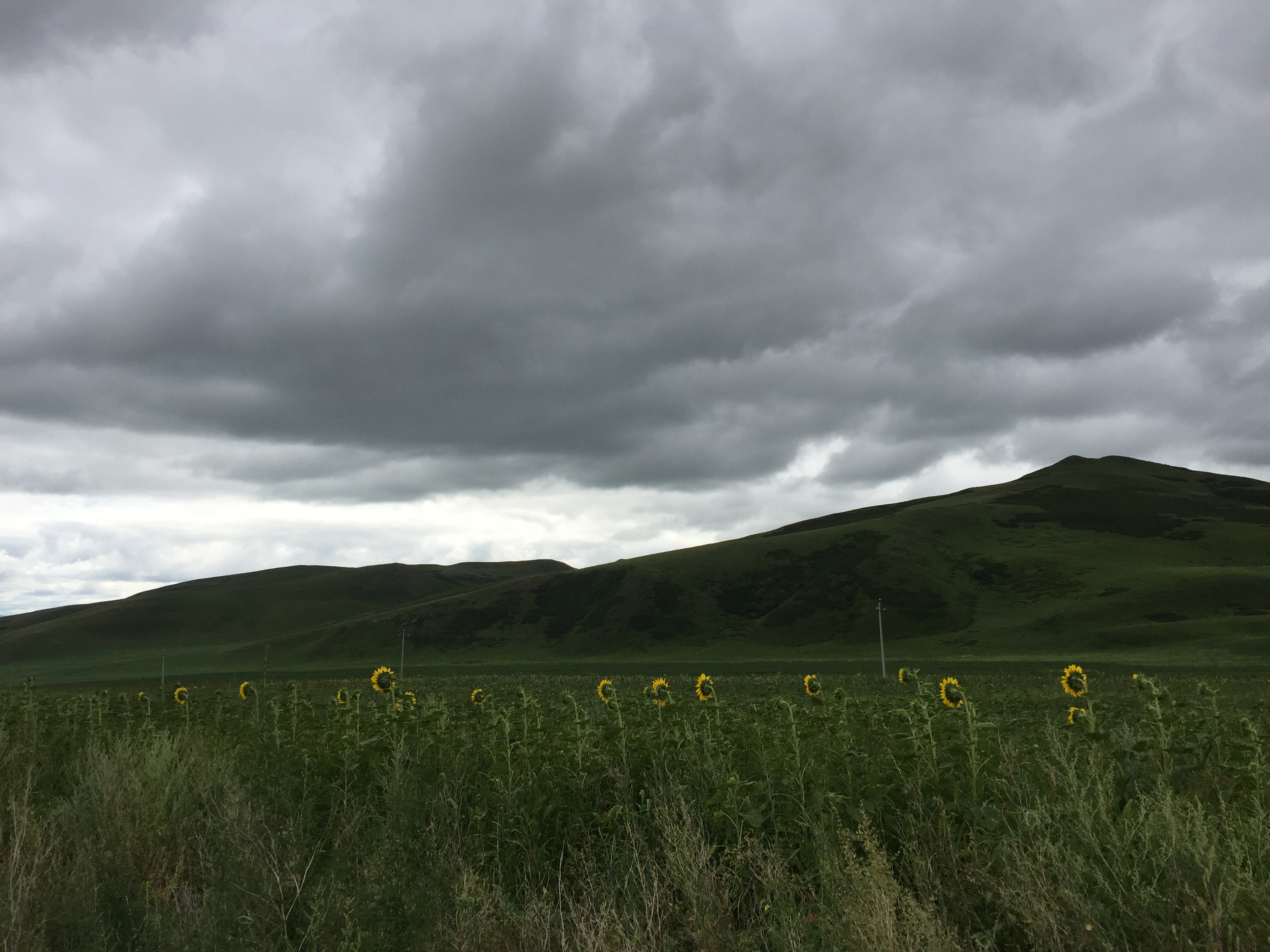 北京游阿尔山路线攻略,北京阿尔山旅游自由行攻略