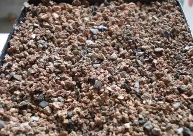 养花种植技术大全及配土,家庭养花如何使用绿沸石配土