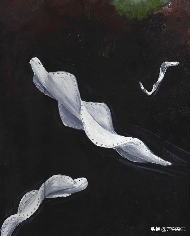 太空空间站拍到的几个ufo目击事件,太空探索飞机上看到最真实ufo