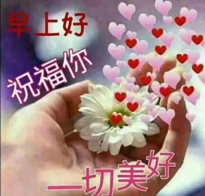 最新群友们早上好问候祝福语,微信群关于早上好的祝福语