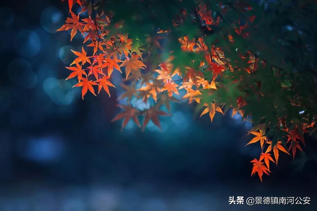 看透人间冷暖世态炎凉的诗句,形容看透世态炎凉的古诗