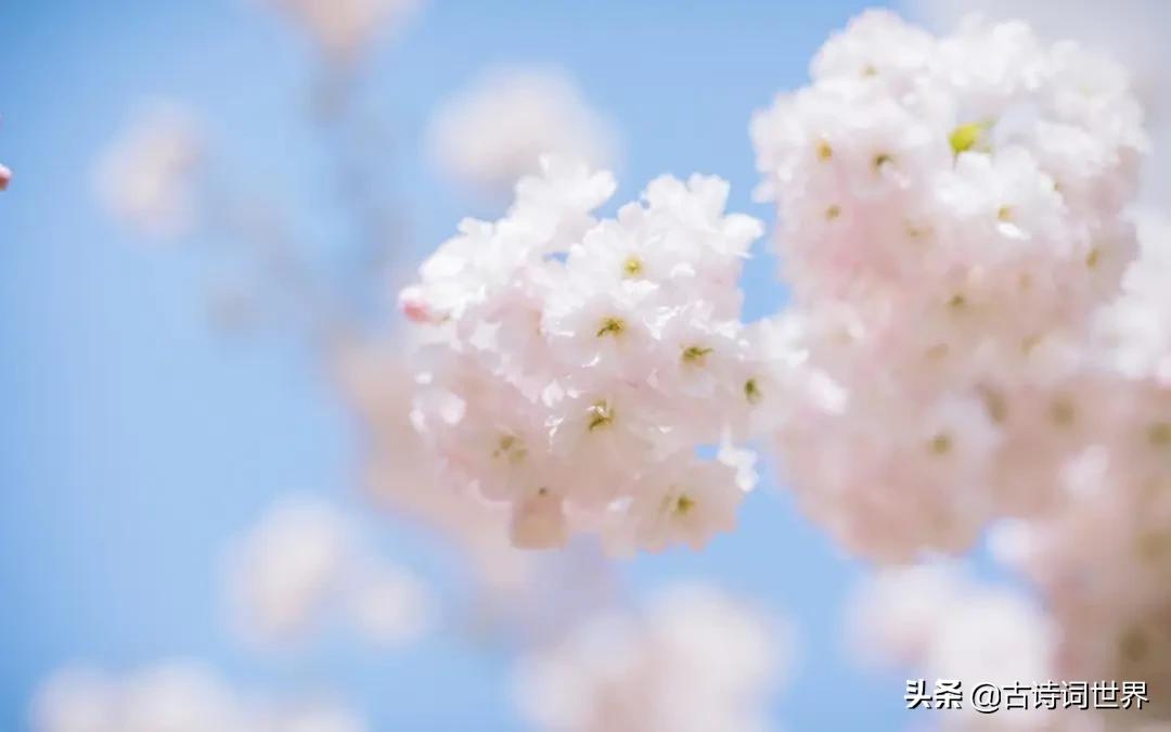 您语文好，请来读读试试，防老年痴呆