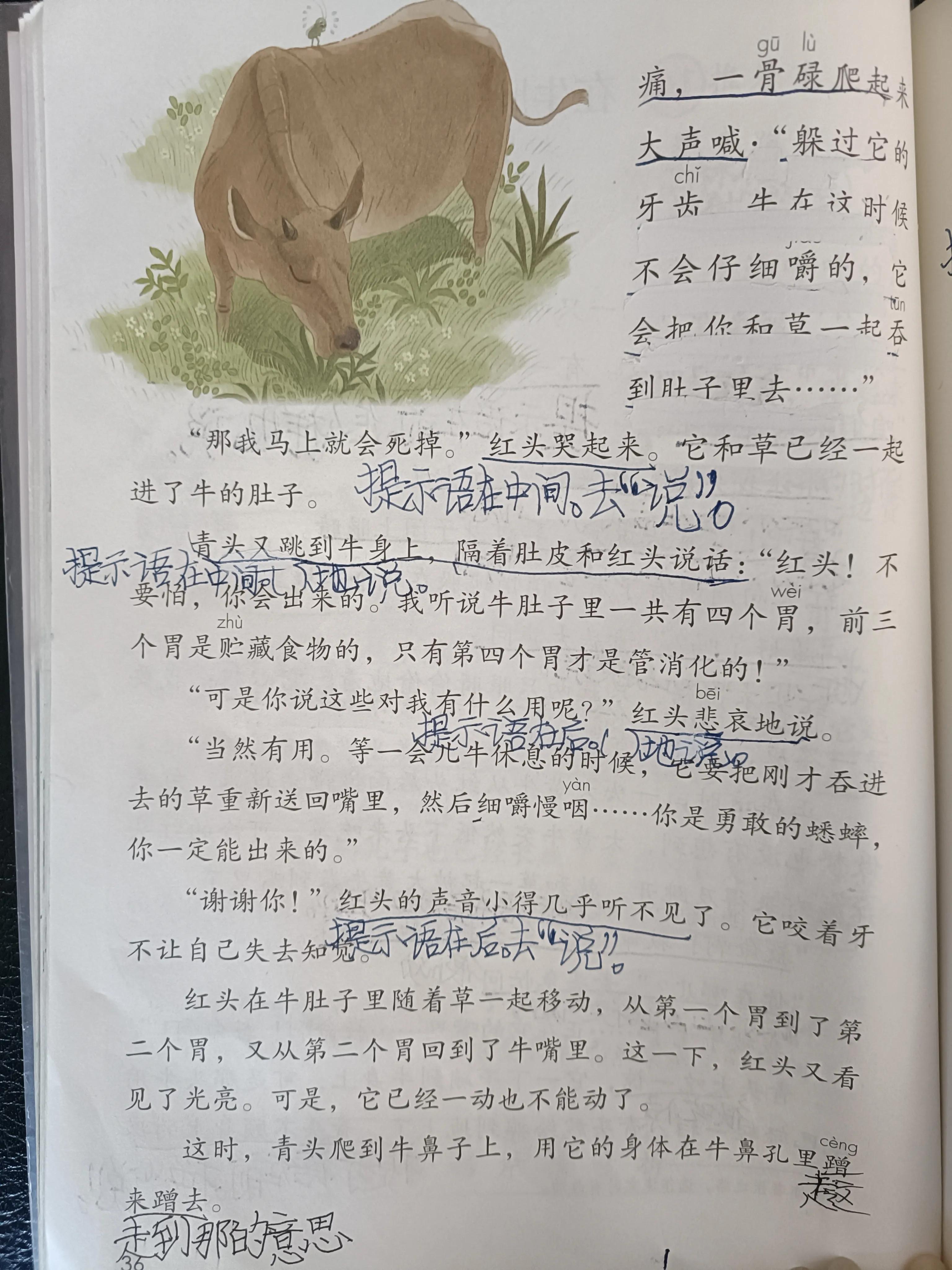 在牛肚子里旅行的提示语有哪些,提示语在中有什么作用