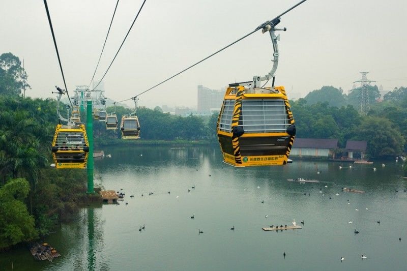 广州长隆野生动物世界游览图,广东广州长隆野生动物世界