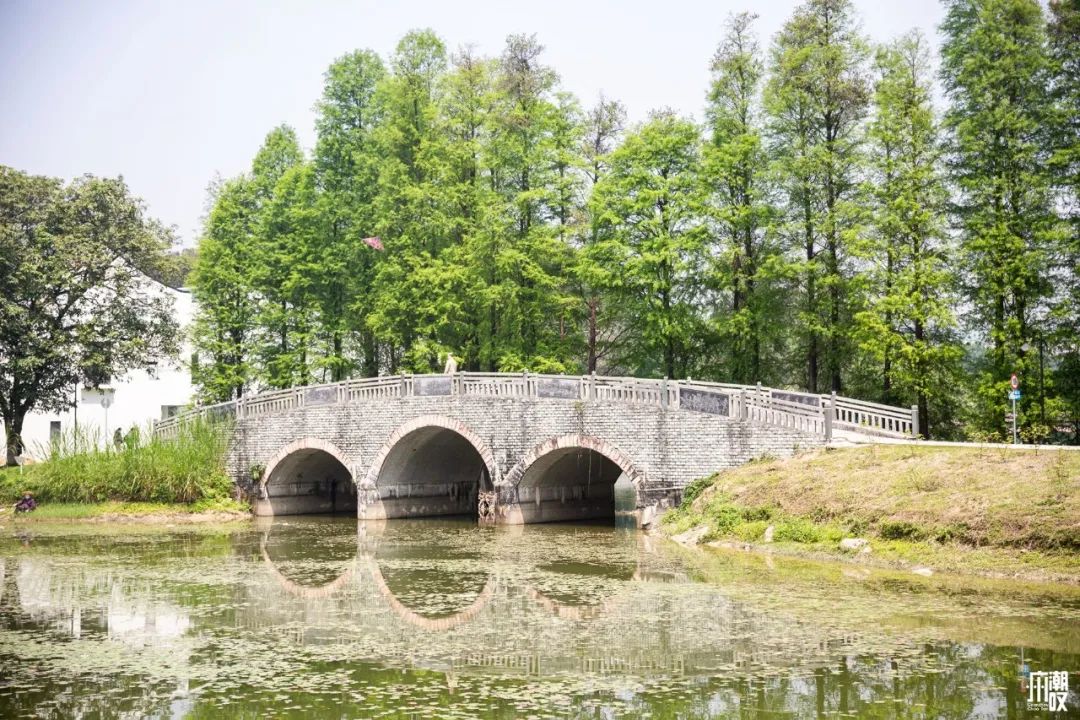 300+万㎡原始森林秘境，天河就有