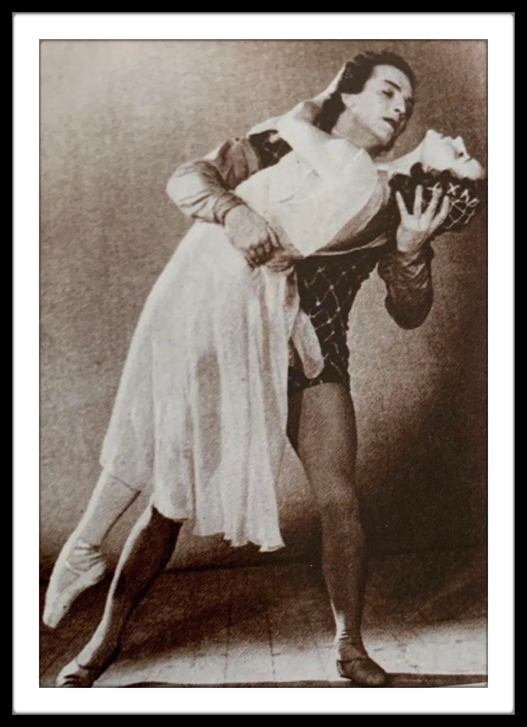 考级详解|央院《猫主题》考点全解析！