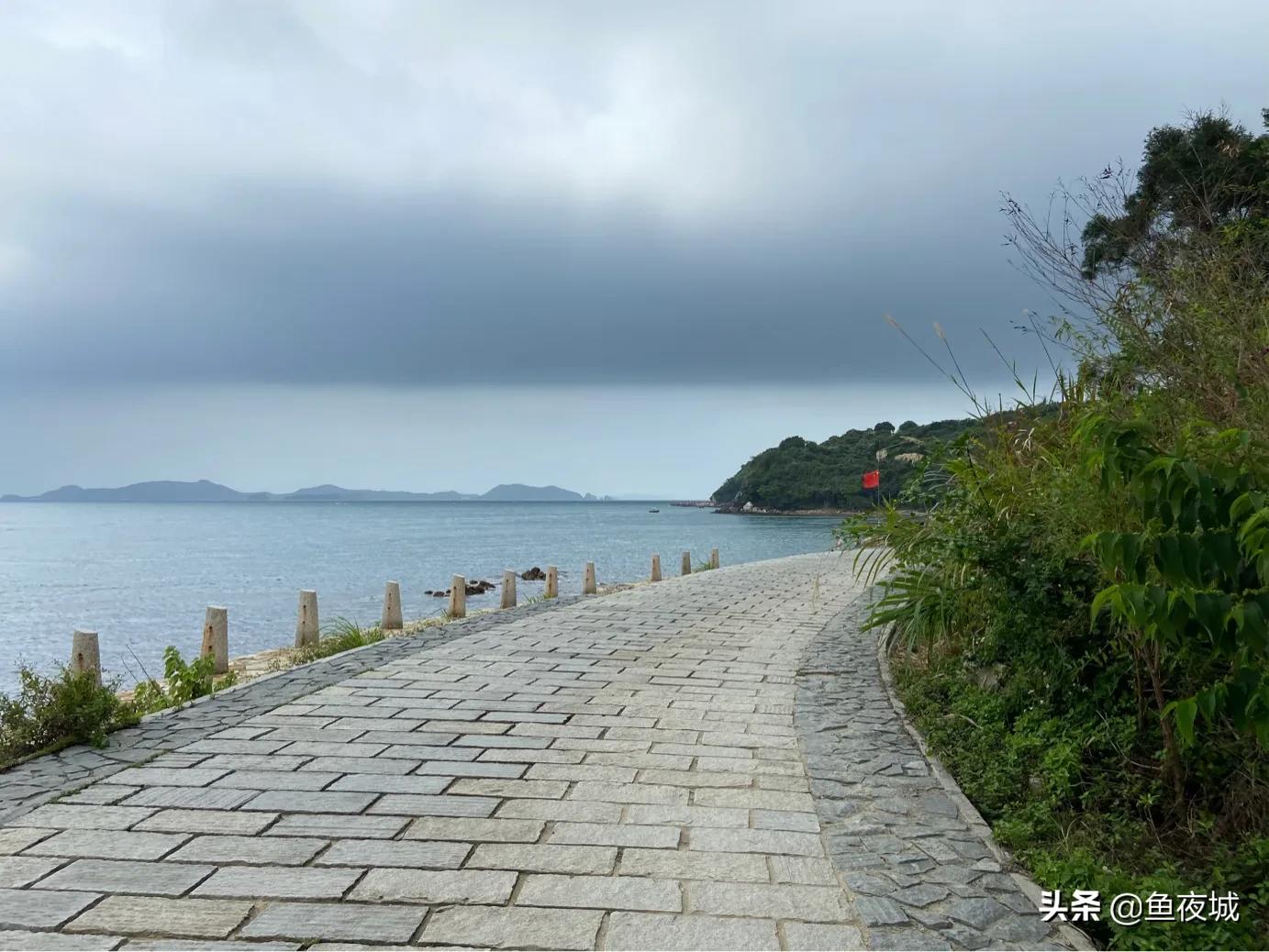 可以获得收益的自媒体平台,财经自媒体哪些平台收益高