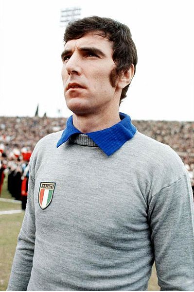 法国足球历史十佳门将,欧洲足坛历史十大门将