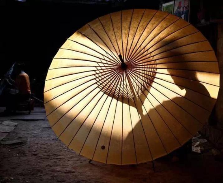 俗话说；“千棵棕万棵桐，子子孙孙都不穷”，为什么这样说？