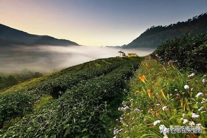 清迈清莱最值得游的景点,清迈旅游景点大全排名
