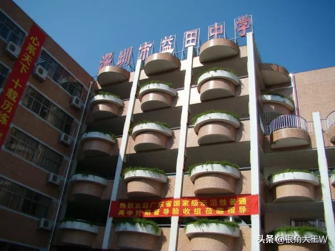 老深圳的美好时光,老深圳的回忆