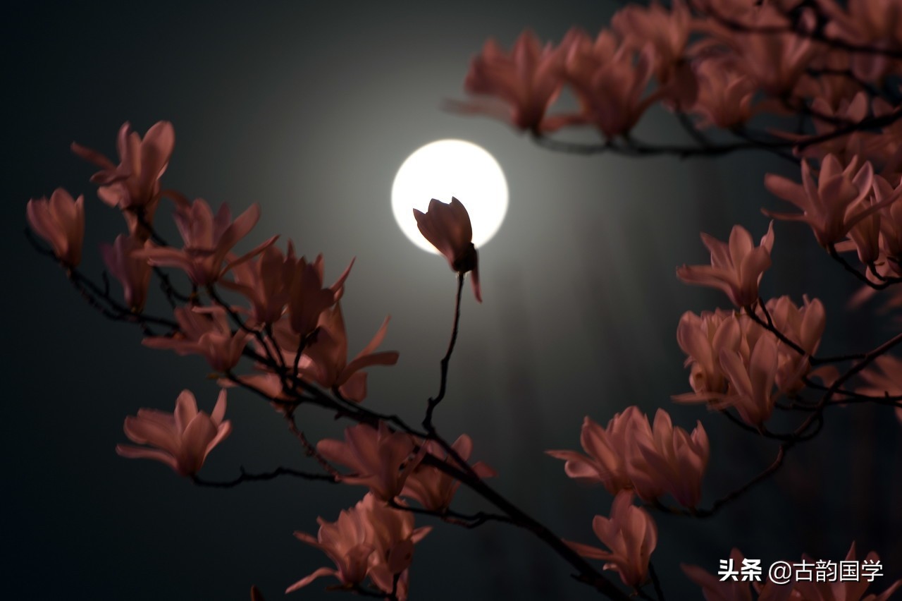 唐朝七绝诗100首欣赏,唐代七绝名家中最受推崇