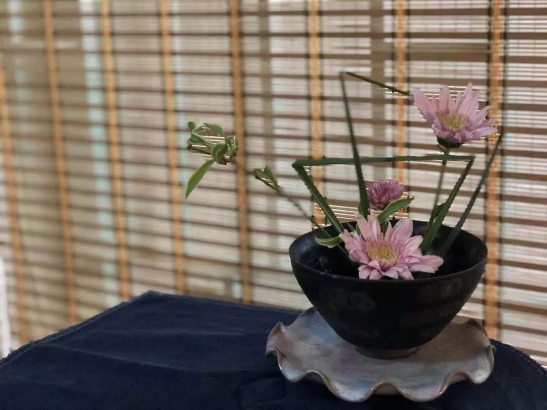 家无陶瓷不富贵,家无瓷不贵